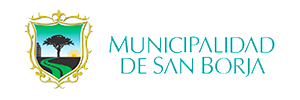 MUNICIPALIDAD DE SAN BORJA